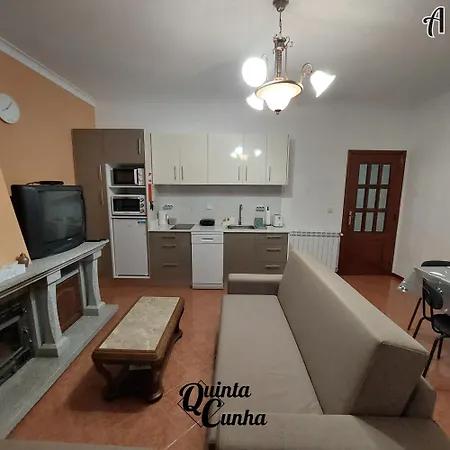 Quinta Cunha Apartment Sao Pedro do Sul Exterior photo